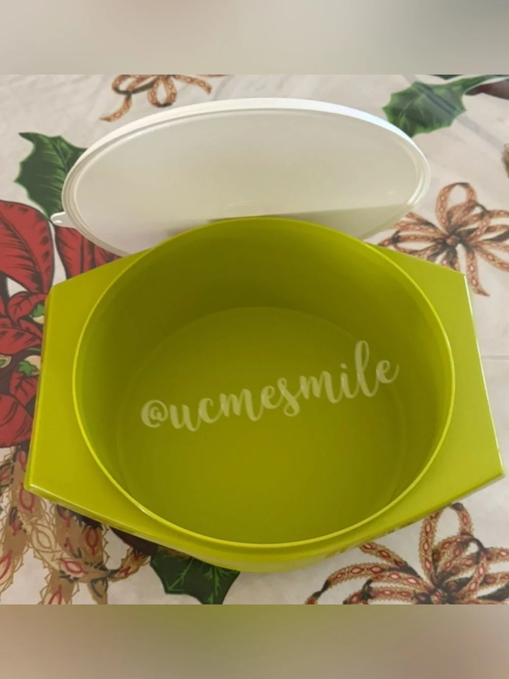 Tupperware Green Tortilla Keeper